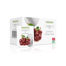 Herbária filteres gyümölcstea 20x2 g (Vadmeggy) tea