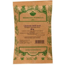 Herbária útifűlevél tea 40g gyógytea