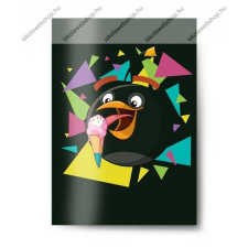 Herlitz A4 Angry Birds Black hangjegyfüzet A4/36-32 füzet