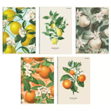 Herlitz Gyümölcs mintás Soft Touch vonalas füzet, A5 - többféle füzet