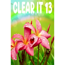 HH-Games ClearIt 13 (PC - Steam elektronikus játék licensz) videójáték