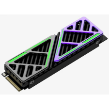 Hikvision 1TB Future with Heatsink M.2 PCIe M.2 2280 HS-SSD-FUTUREX 1024G (SSD5056) merevlemez, ssd