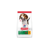 Hill's Hills SP Canine Puppy Medium Chicken 2,5kg