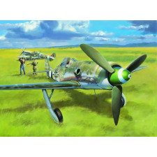  Hobby Boss Focke-Wulf FW190D-13 1:48 (81721) makett