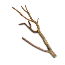  HOBBY Parafa ág 75-100cm hüllőfelszerelés