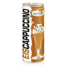  Hochwald Eis Cappuccino jegeskávé - 250 ml kávé