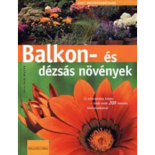 Holló és Társa Balkon- és dézsás növények antikvárium - használt könyv