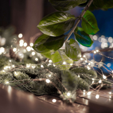 Home by Somogyi karácsonyi Micro LED fényfüzér, 20 hidegfehér micro LED ml20/wh karácsonyi dekoráció