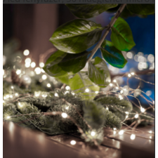 Home by Somogyi Somogyi  Micro LED fényfüzér, 50 hidegfehér micro LED karácsonyfa izzósor