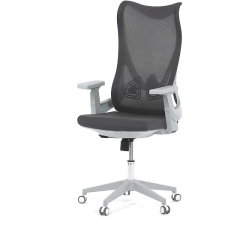 HOMEPRO Gaius, szürke forgószék