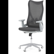 HOMEPRO Gaius, szürke (KA-S248 GREY) forgószék