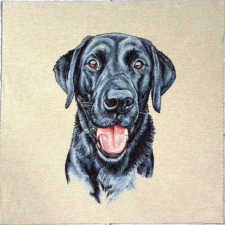 HomeTextiles LABRADOR mintás jacquard párna panel lakástextília
