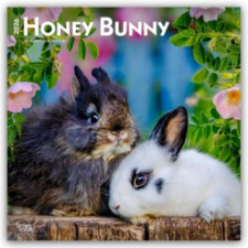  Honey Bunny - Süße Häschen 2026 - 16-Monatskalender (Naptár/Határidőnapló) határidőnapló