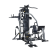 Horizon Fitness Torus 5 fitness center