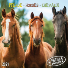 Horses/Pferde 2024 naptár, kalendárium