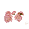  Hortenzia virágfej - 7 cm - rózsaszín