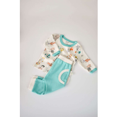  Hosszú ujjú blúz szett hosszú nadrággal, 100% organikus pamut, BabyCosy, zöld (Méret: 9-12 hónap)