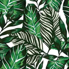  House plants bútorfólia öntapadós tapéta 45cmx15m tapéta, díszléc és más dekoráció