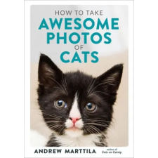  How to Take Awesome Photos of Cats idegen nyelvű könyv