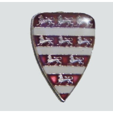 Hunbolt Árpádházi címeres jelvény fedőfestéssel (16x22 mm) ajándéktárgy