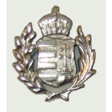 Hunbolt Ezüst koronás címer (22 mm) jelvény ajándéktárgy
