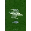HVG Könyvek Diagnózisok homokozója