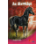 HVG Press Kft. Az álomlátó (pony club)