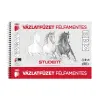 ICO Vázlatfüzet B5 120g. félfamentes Student