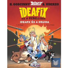  Ideafix 5. - Ideafix és a Druida gyermek- és ifjúsági könyv