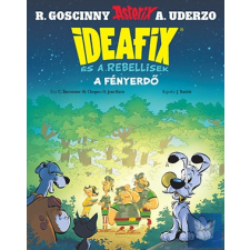 Ideafix 6. - A fényerdő gyermek- és ifjúsági könyv