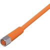 ifm Electronic EVT137 Csatlakozóvezeték Alj, egyenes 25 m Pólusszám: 4 1 db (EVT137)