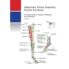 Igelsburg Verlag Horse Anatomy | Katja Gühring idegen nyelvű könyv
