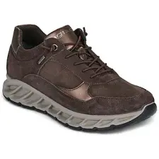 IGI&amp;CO Rövid szárú edzőcipők D.KROSS GTX Barna 36 női cipő