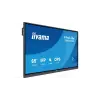 Iiyama TN6505A-B1AG