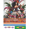 Independently Published Cultura Latinoamericana. Cultura Latino-Americana | Iván Kushnir