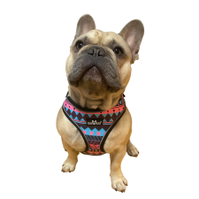  Indián komfort kutyahám, M-es nyakörv, póráz, hám kutyáknak