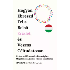 Inkwell Press Hogyan ébreszd fel a belső erődet és vezess céltudatosan egyéb e-könyv