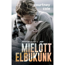 Insomnia Mielőtt elbukunk regény