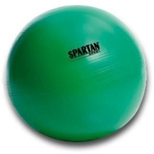 Insportline Acél súlytárcsa inSPORTline Hamerton 20 kg 30mm súlytárcsa