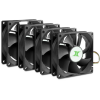Inter-Tech IPC Fan Set 80mm (4 pcs) (88887290)