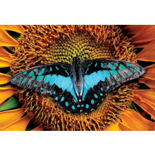 Interdruk puzzle Színes természet: Pillangó 250 darabos puzzle, kirakós