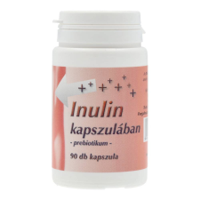 INULIN KAPSZULÁBAN 90 DB gyógyhatású készítmény