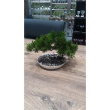 IRIS E5778 BONSAI dekoráció művirággal cserépben 25x18cm (IRIS_E5778) dekorációs kellék