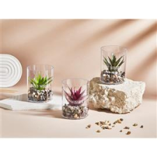 IRIS E5812 BEST WISHES dekoráció művirággal pohárban 8x10cm (IRIS_E5812) dekorációs kellék