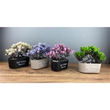 IRIS E5830 BEST WISHES dekoráció művirággal dézsában 20x18cm (IRIS_E5830) dekorációs kellék