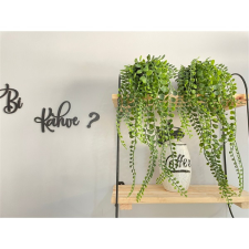 IRIS IRIS E5835 dekoráció művirággal cserépben 16x35cm dekoráció