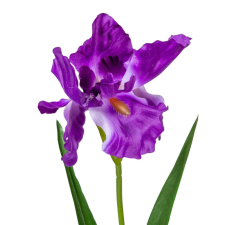  Írisz szálas 67cm dekorációs kellék