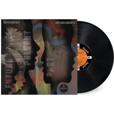  Irreversible Entanglements - Future Present Past (Vinyl LP (nagylemez)) jazz