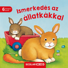  Ismerkedés az állatkákkal gyermek- és ifjúsági könyv