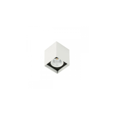 ITALUX Alden White Black 3000K  - IT-SLC78002/12W 3000K WH+BL /KIFUTÓ!!/ világítás